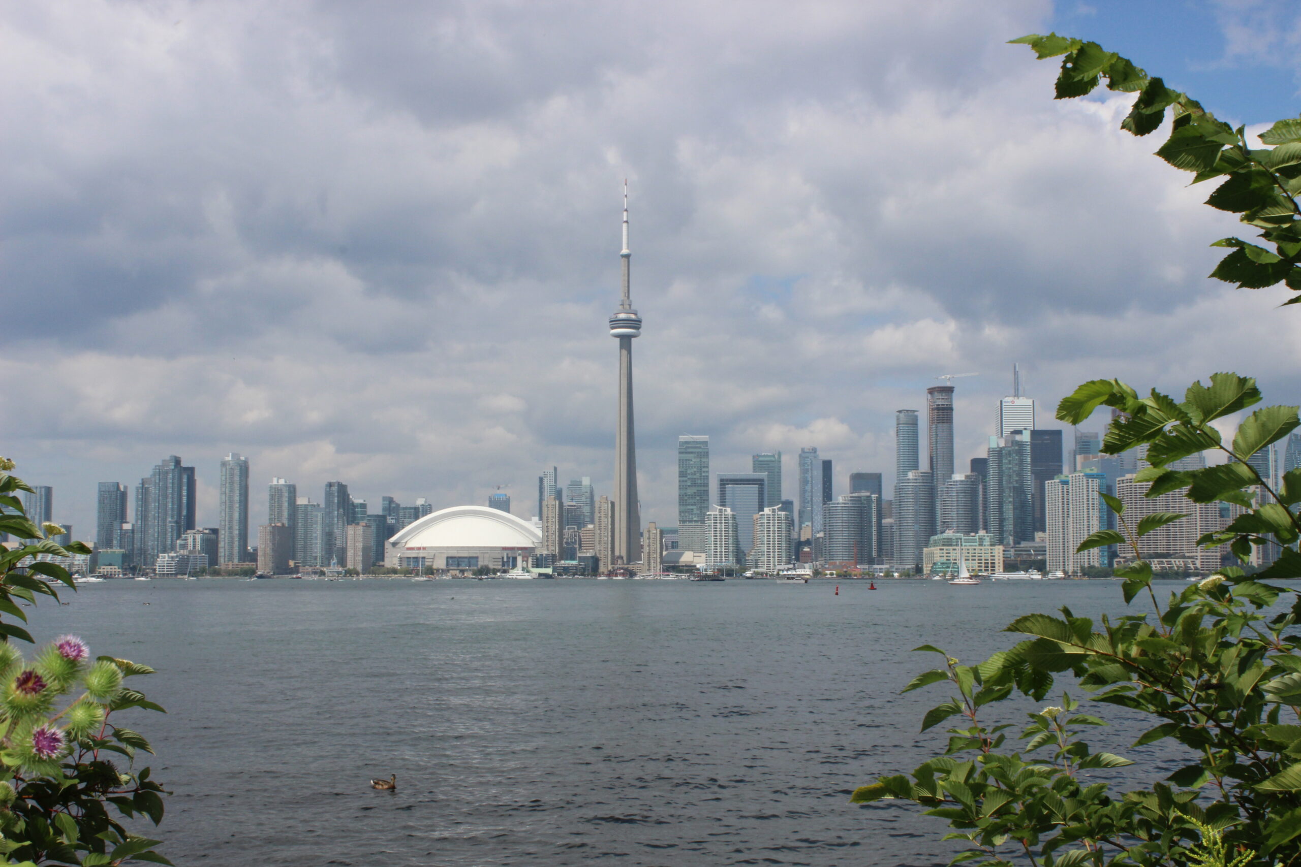 https://upload.wikimedia.org/wikipedia/commons/6/6c/CN_Tower_from_Centre_Island.JPG